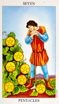 Seven of Pentacl Tarot Card Meanings